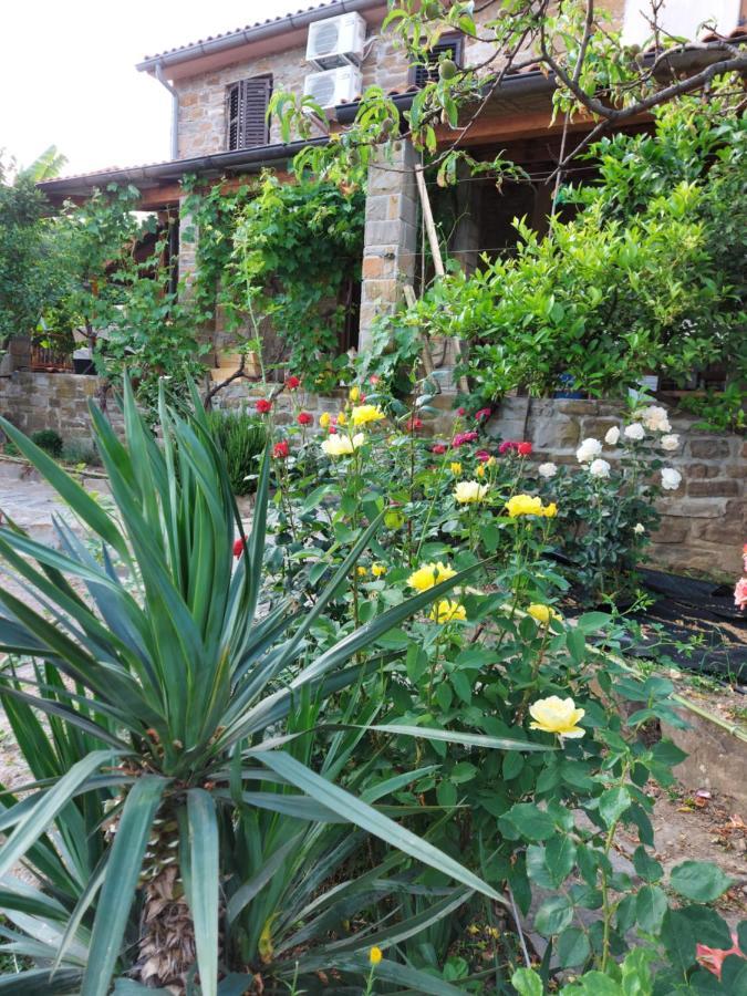 Istrian Stone House With A Big Garden Villa Marezige Exterior photo