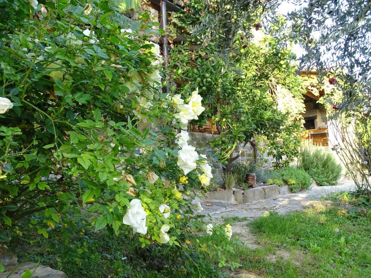 Istrian Stone House With A Big Garden Villa Marezige Exterior photo